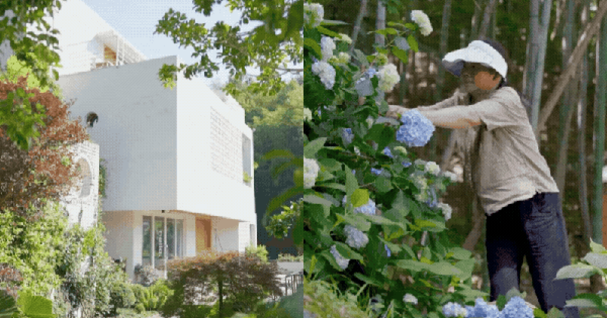 30 tuổi tự xây “nhà dưỡng lão” cho bố mẹ: Câu chuyện khiến nhiều người nghĩ lại về tiền bạc và tuổi già