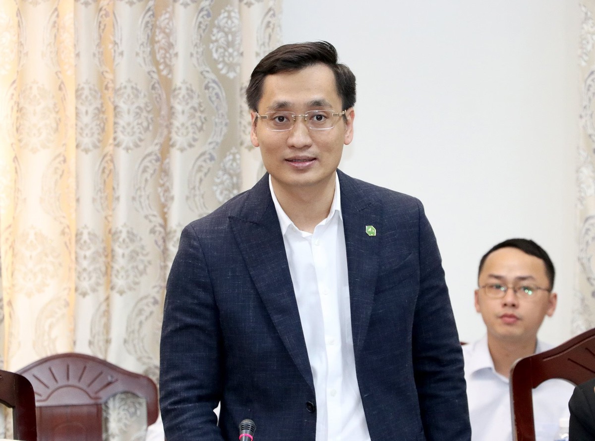 13 dự án du lịch do Novaland đầu tư gặp khó, lãnh đạo tỉnh Lâm Đồng chỉ đạo tháo gỡ