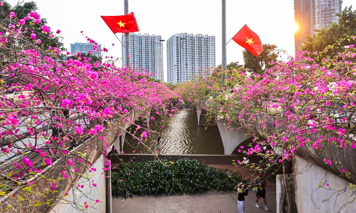 Hoa giấy phủ kín cầu Thủy Tiên, khung cảnh như "xứ sở thần tiên"