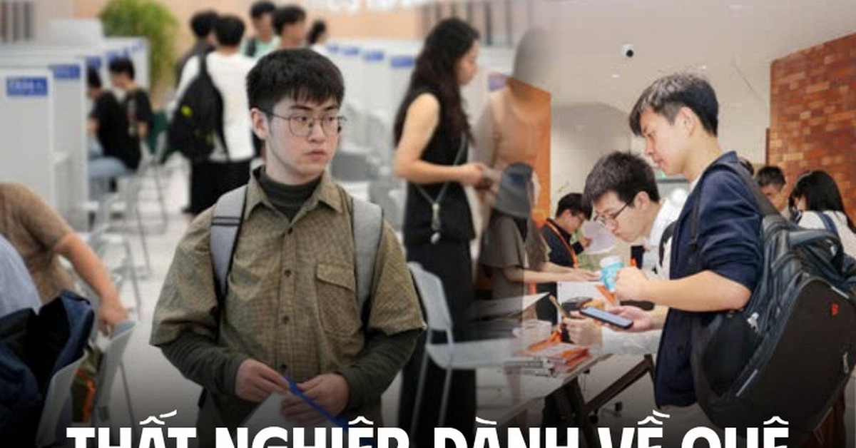 Gửi 100 CV chỉ để nhận ra “cơ hội không dành cho mình”: Ở lại thành phố nghĩa là tiếp tục tiêu tiền, đành về quê