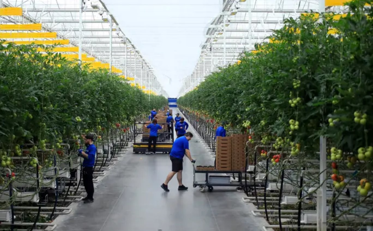 Cú rơi của những "kỳ lân xanh": Phá sản dù từng huy động hàng trăm triệu USD, số công ty sống sót chỉ còn phân nửa