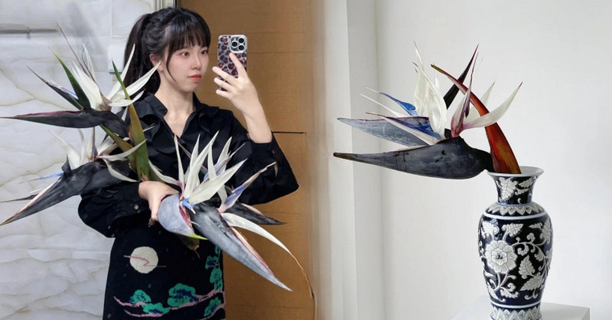 Thấy cành Bạch hạc "chảy nước mắt", tưởng hỏng hóa ra vớ được báu vật decor: Loài hoa quý tộc đang làm mưa làm gió hội nghiện Wabi-sabi sang chảnh