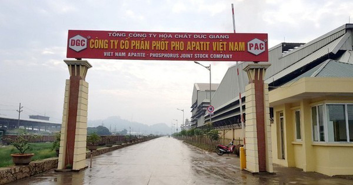 Công ty "cháu" của Hóa chất Đức Giang thông báo bầu thay thế 4 thành viên HĐQT