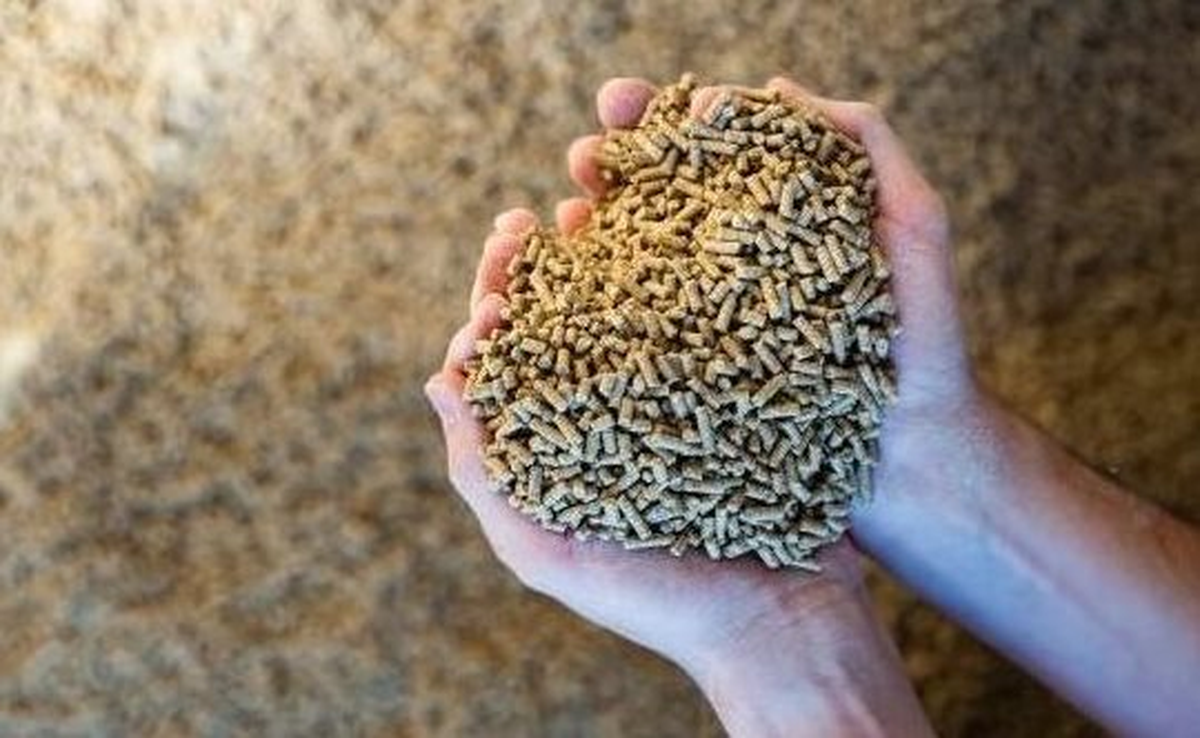 Căng thẳng Trung Đông: Láng giềng Việt Nam bất ngờ gặp khó với một ngành công nghiệp đang dẫn đầu thế giới