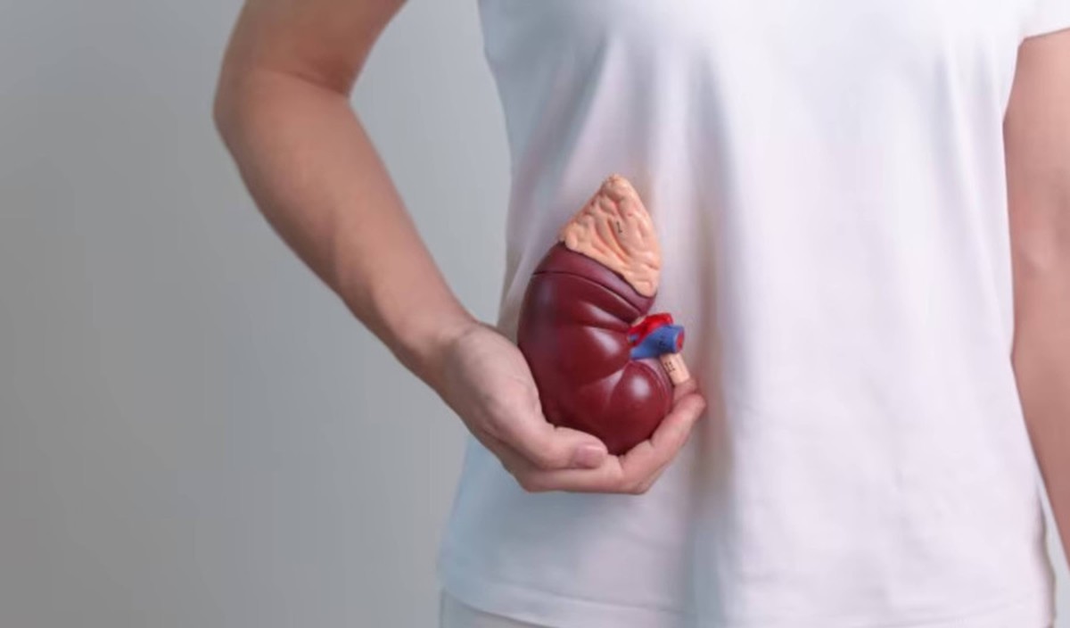 7 thói quen gây hại thận mỗi ngày