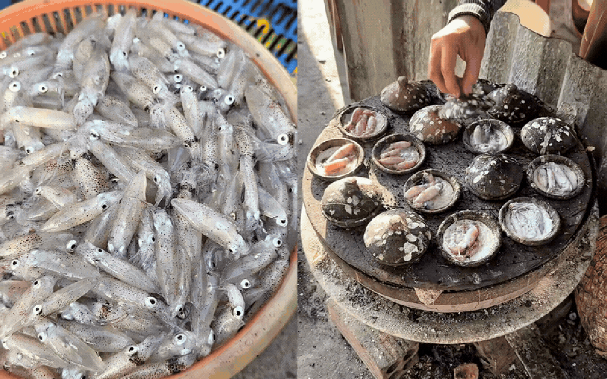 Ở vùng biển này, người dân có món ăn sáng "ruột" tươi nhảy tanh tách: Khách du lịch dậy từ 5h sáng để tranh nhau mua bằng được