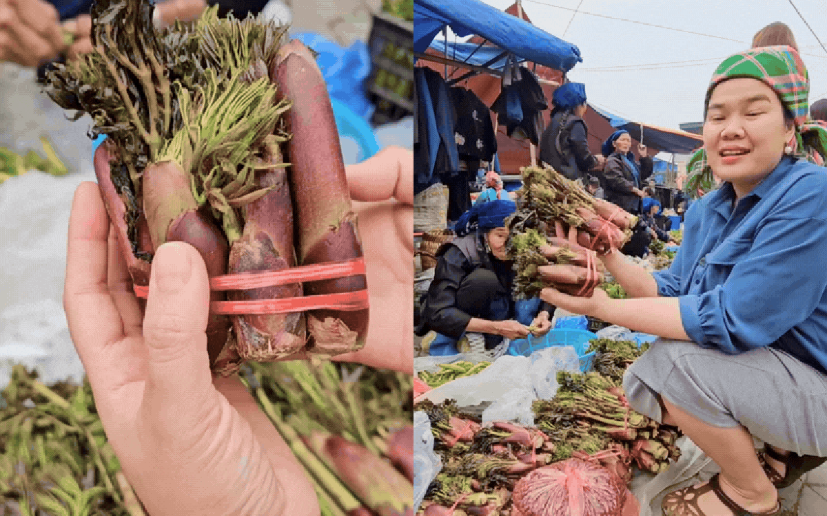 Thứ rau đặc sản lạ lùng ở chợ phiên Y Tý: Ngoại hình "từ chối hiểu" nhưng xào tỏi lại siêu ngon, lỡ dịp là mòn mỏi đợi sang năm