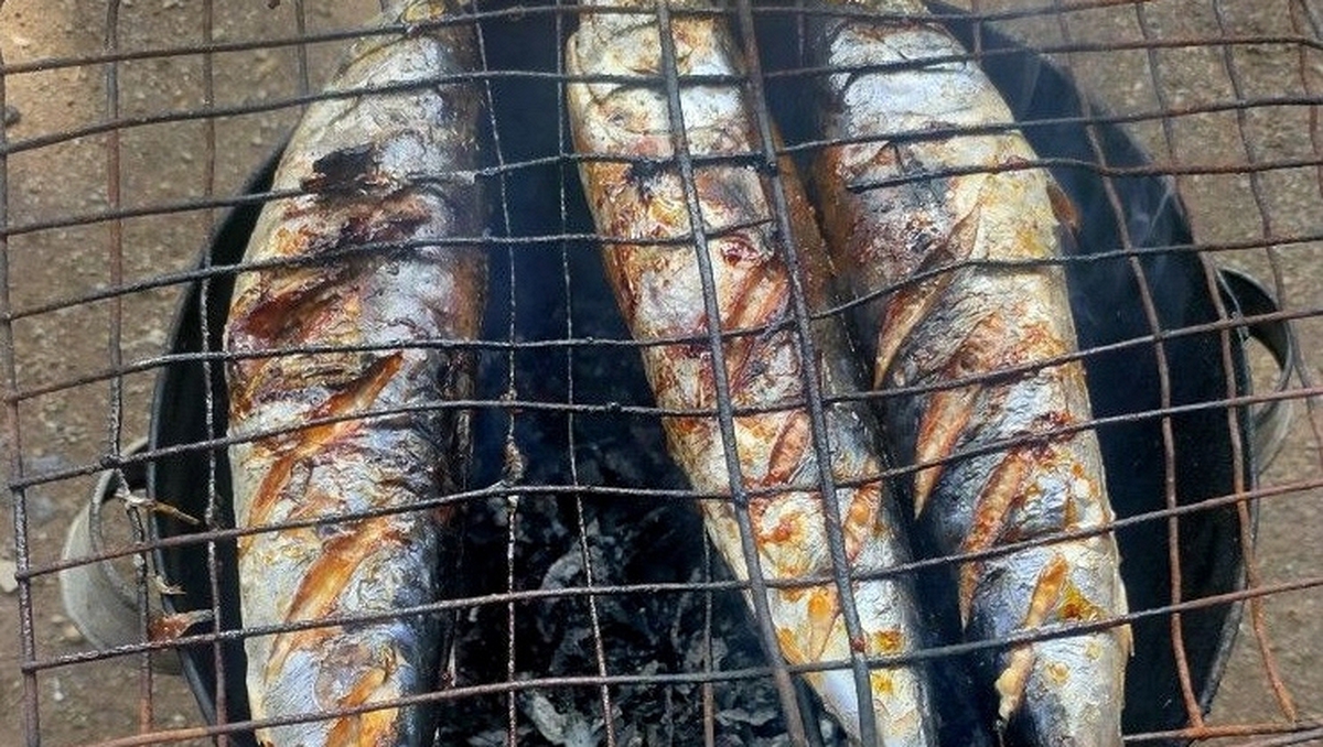 Loại cá giàu đạm, DHA gấp 3 lần cá hồi nhưng giá rẻ không bằng một nửa: Chợ Việt bán đầy