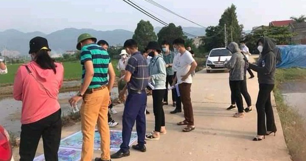 Chỉ 10% môi giới bất động sản có chứng chỉ hành nghề