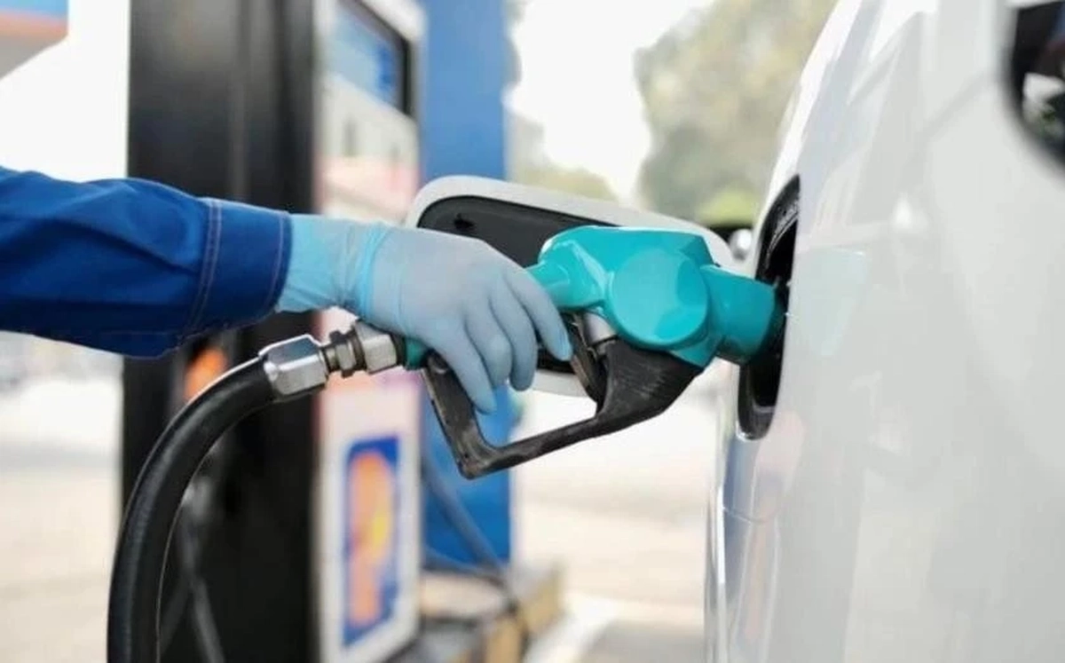 Hải Phòng xem xét miễn phí hạ tầng với mặt hàng xăng dầu