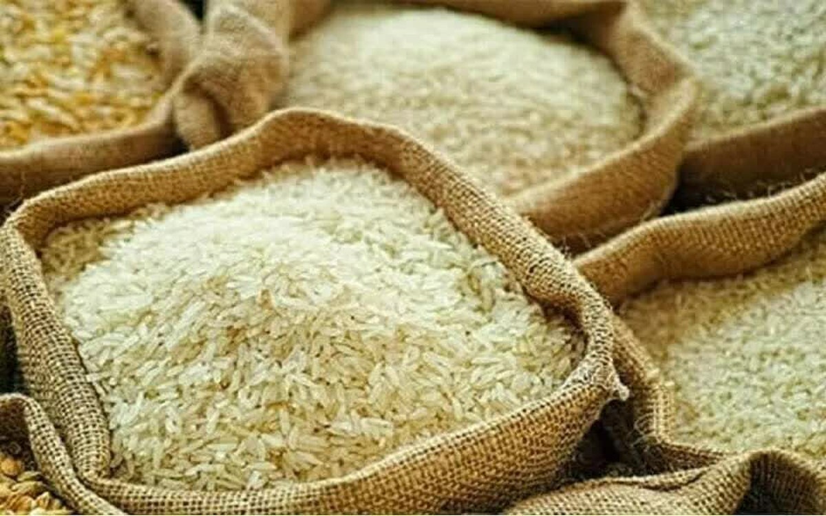 Giá gạo châu Á giảm do chi phí vận tải tăng mạnh