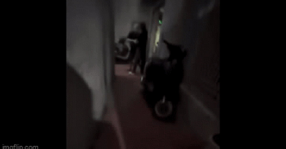 Hoàn cảnh khó khăn của người phụ nữ bế con nhỏ bị hàng xóm hành hung ở Hà Nội