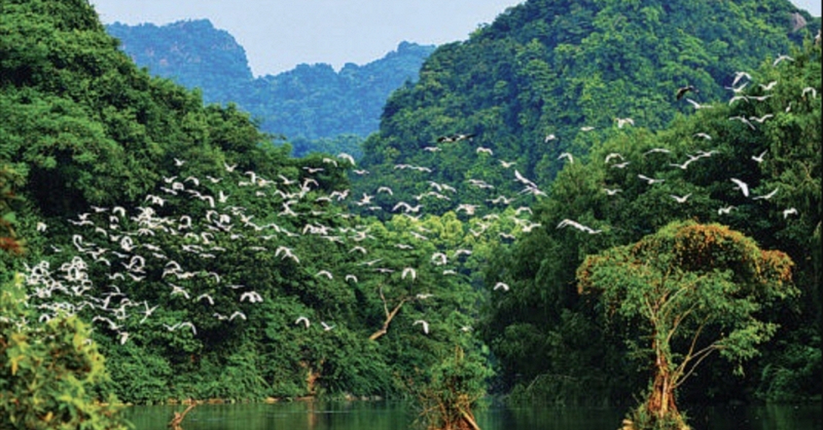 Từ 1/4, không chỉ Hang Múa mà 1 địa điểm nổi tiếng ở Ninh Bình đồng loạt tăng giá