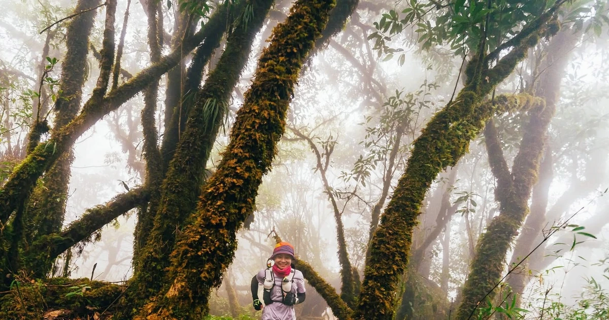 Mục sở thị khu rừng nguyên sinh "độc nhất vô nhị" ở Sơn La