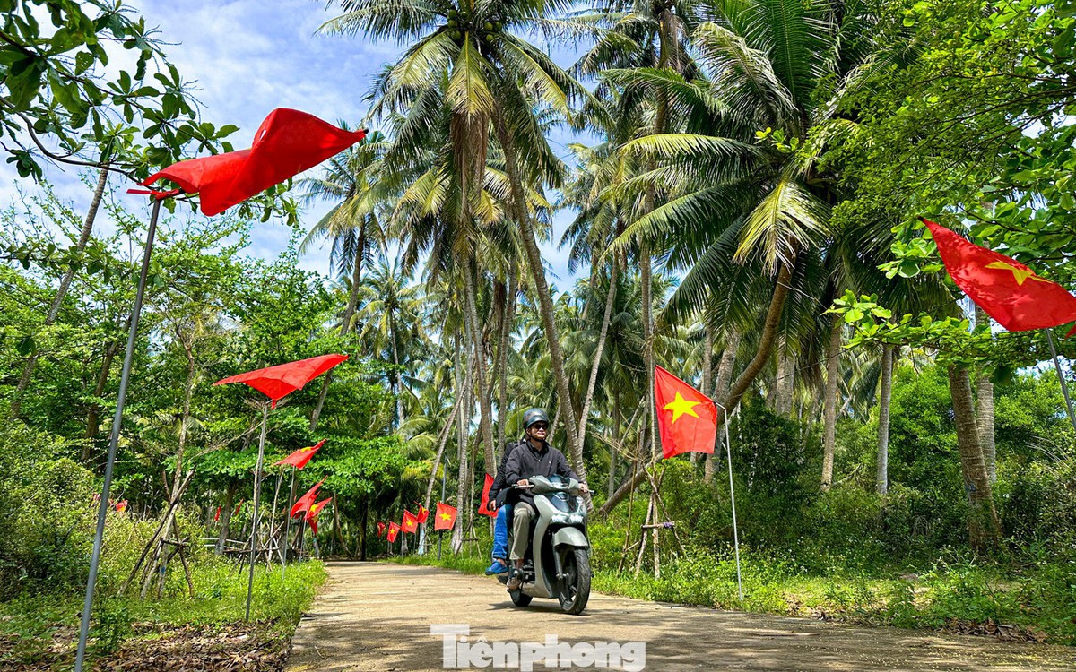 Thích mê rừng dừa xanh mướt nơi xã đảo Tam Hải