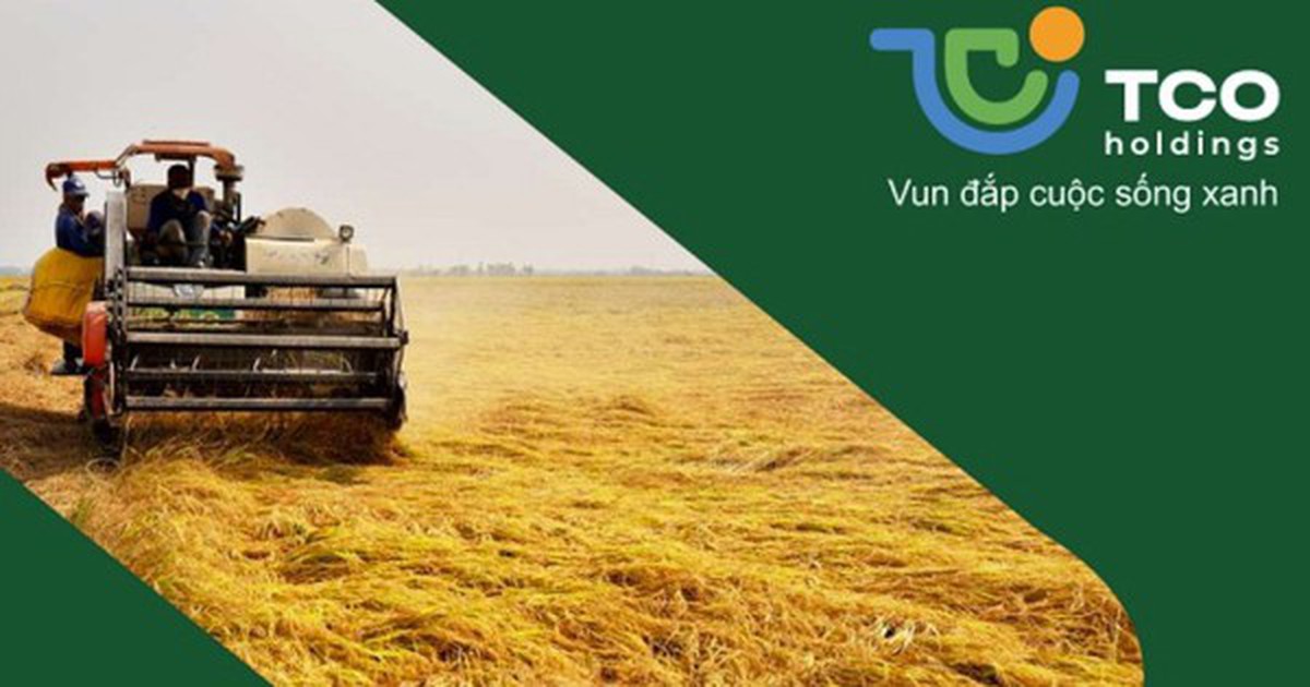 Biến động nhân sự tại TCO Holdings