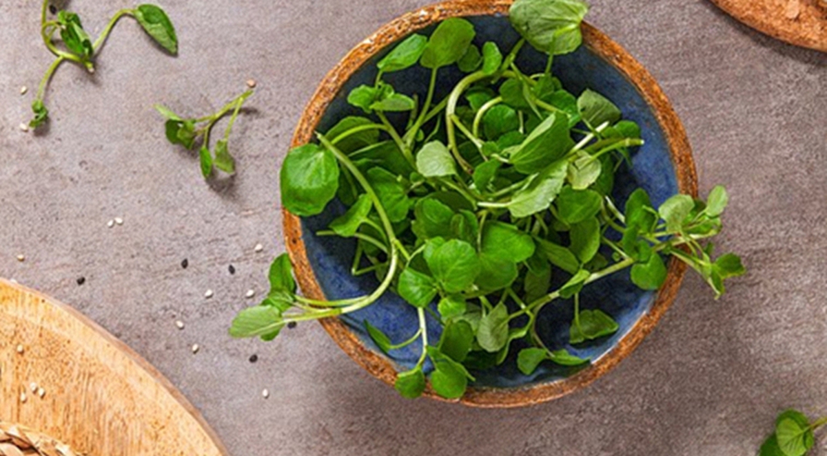 Loại rau "tốt nhất thế giới", giàu chất chống oxy, giảm cholesterol xấu được chuyên gia dinh dưỡng công nhận