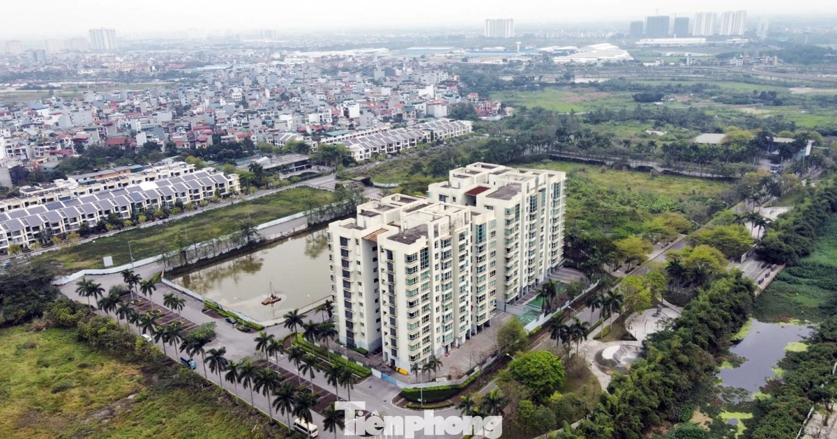 Chủ dự án 88 Central "lật kèo" sau 6 năm ôm đất: Chuyển đơn đến công an giải quyết