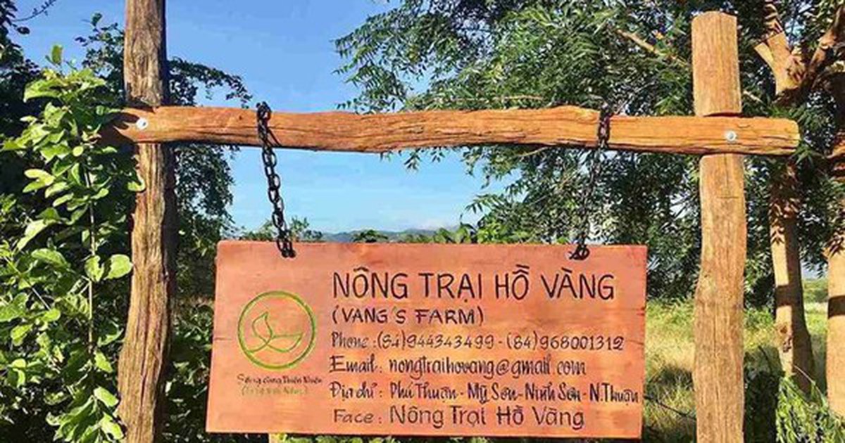 “Nông trại Hồ Vàng” của ông Thích Nhuận Đạt?
