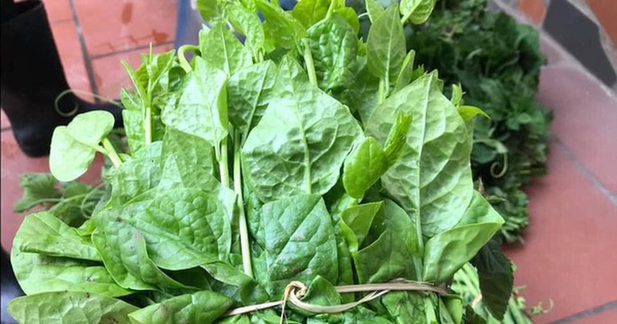 5 loại rau "bổ hơn thịt, rẻ hơn thuốc", bán đầy rẫy ở chợ Việt