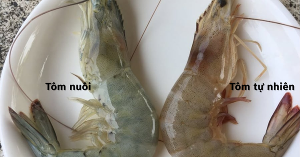 Mẹo "xương máu" phân biệt tôm nuôi và tôm tự nhiên, người bán ít khi tiết lộ