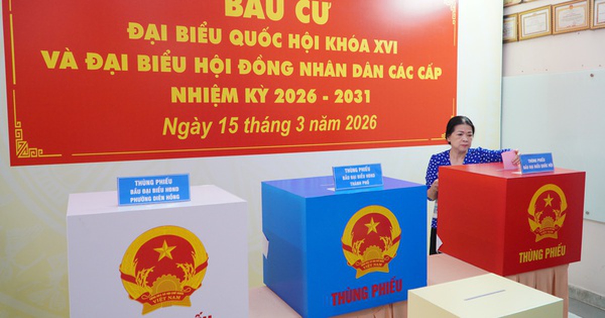 Cử tri đi bầu cử cần lưu ý những gì?