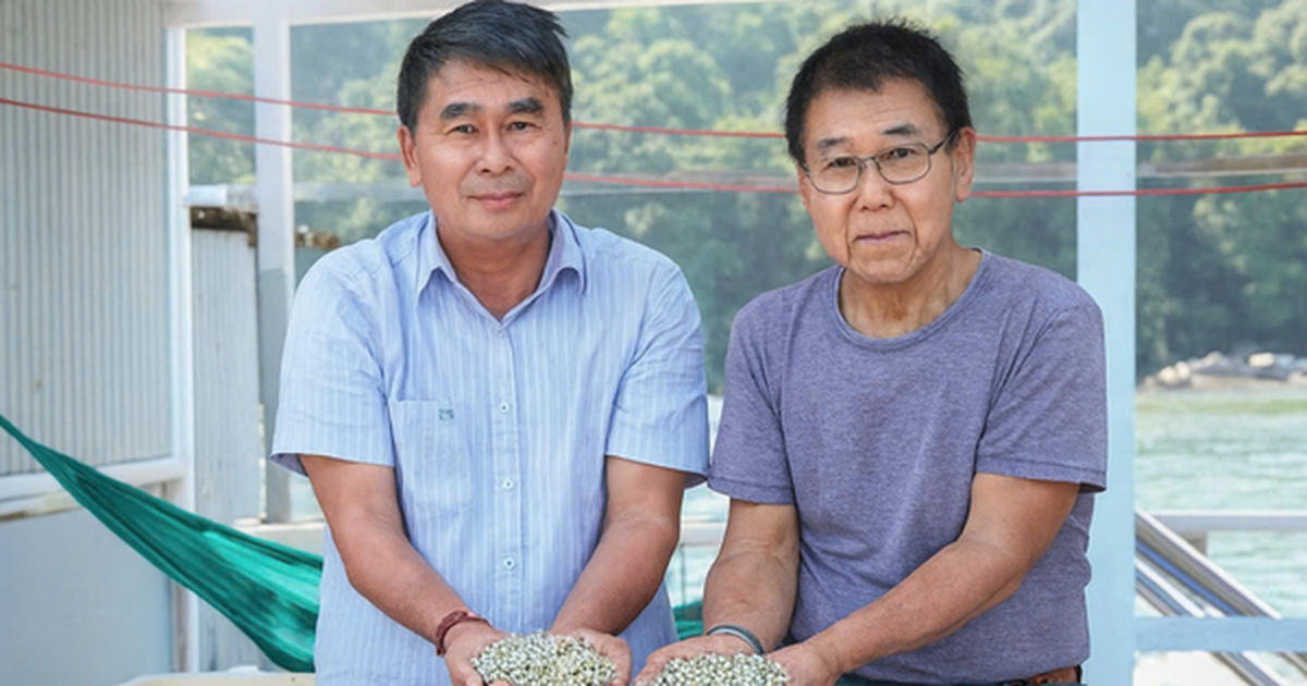 Sau biến cố siêu bão, lão nông Việt nuôi “kho báu” dưới nước, mỗi năm thu về 150 tỷ đồng