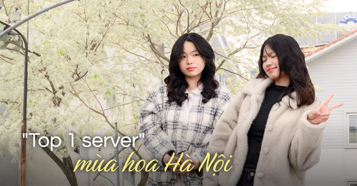 Cả Hà Nội phát sốt vì những cây hoa này: Chỗ đẹp như ngôn tình, nơi đã xác xơ - đi nhầm phí công vô ích!