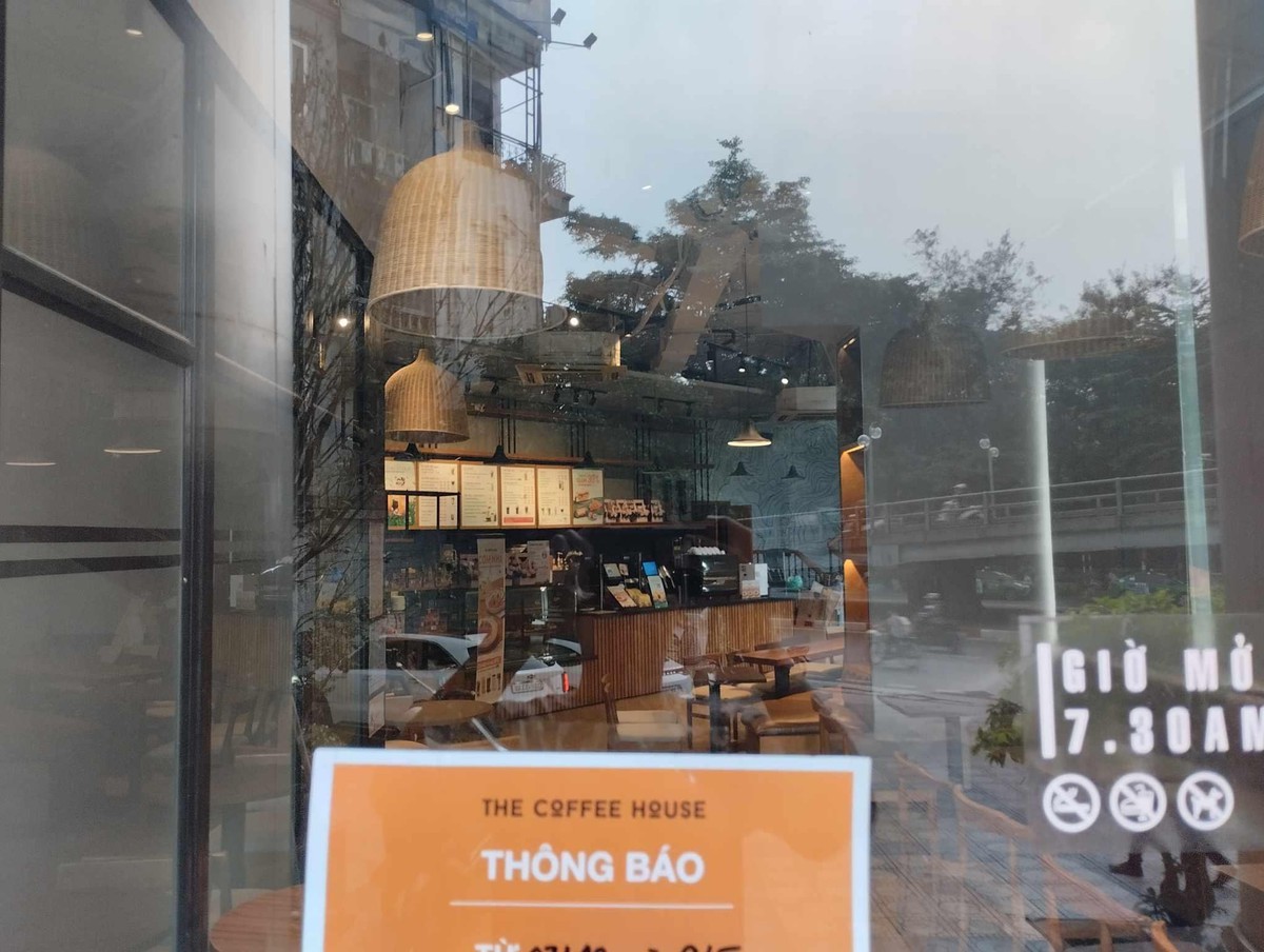 The Coffee House lỗ 6,4 tỷ đồng trong năm 2025, "góp" cho Golden Gate khoản lỗ tổng cộng 73,7 tỷ đồng