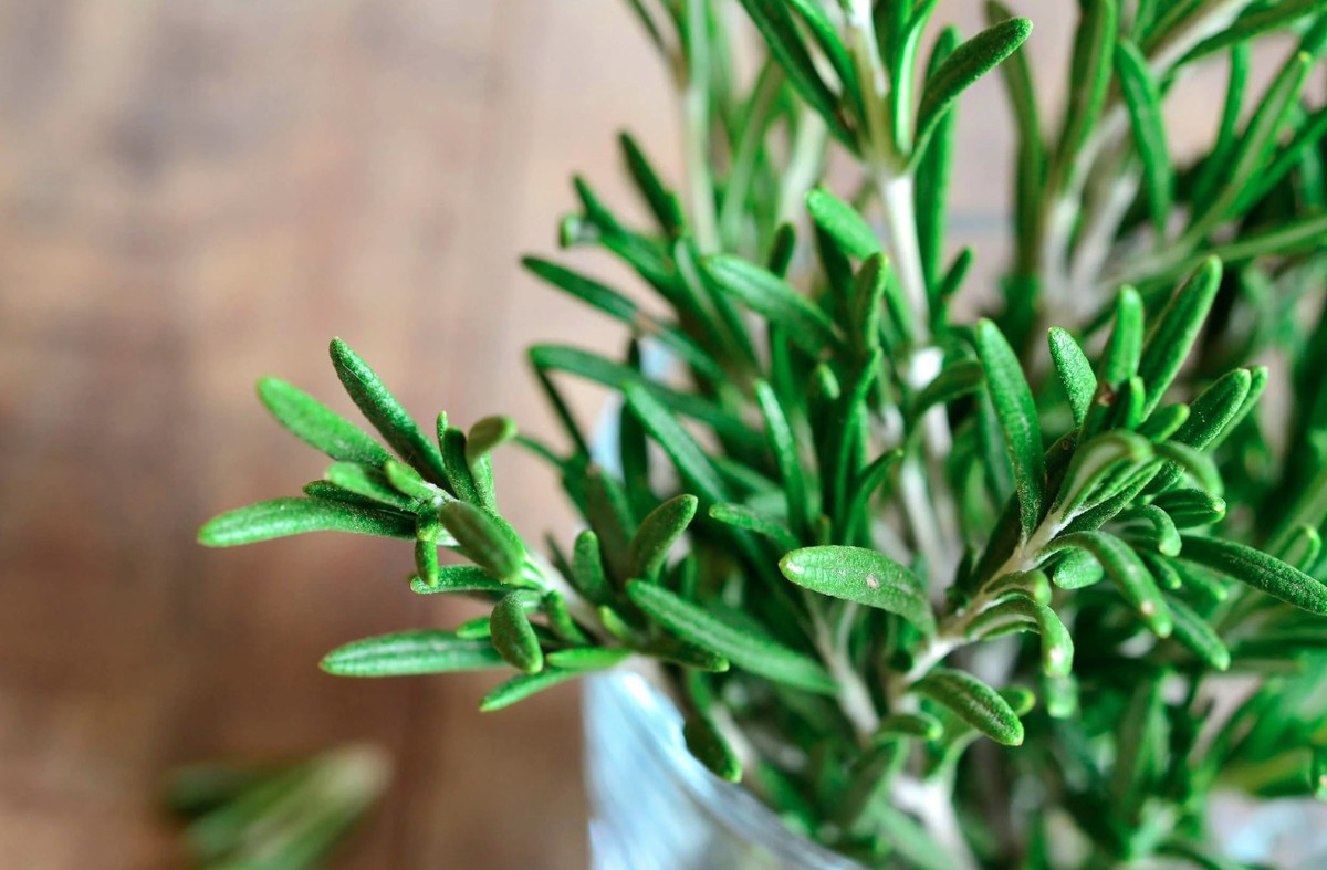 3 loại cây tuổi 40 rất cần