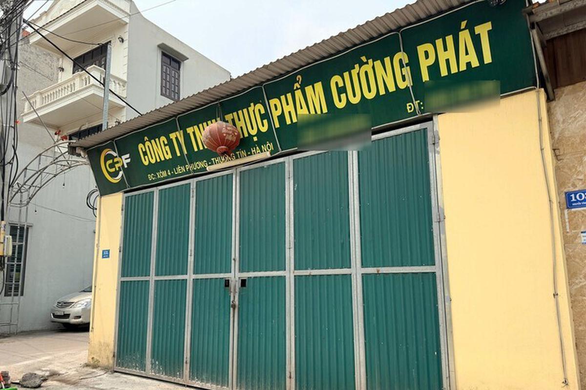 300 tấn thịt lợn bệnh ra thị trường: Doanh nghiệp suất ăn khẳng định không tiếp tay