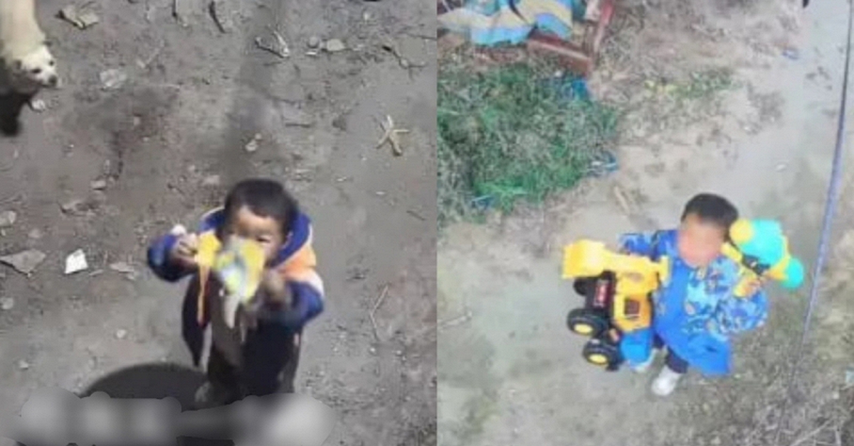 Cậu bé 4 tuổi ở quê gọi bố qua camera xin mua đồ chơi: Dễ thương đến mức cư dân mạng liên tục xin địa chỉ để gửi quà