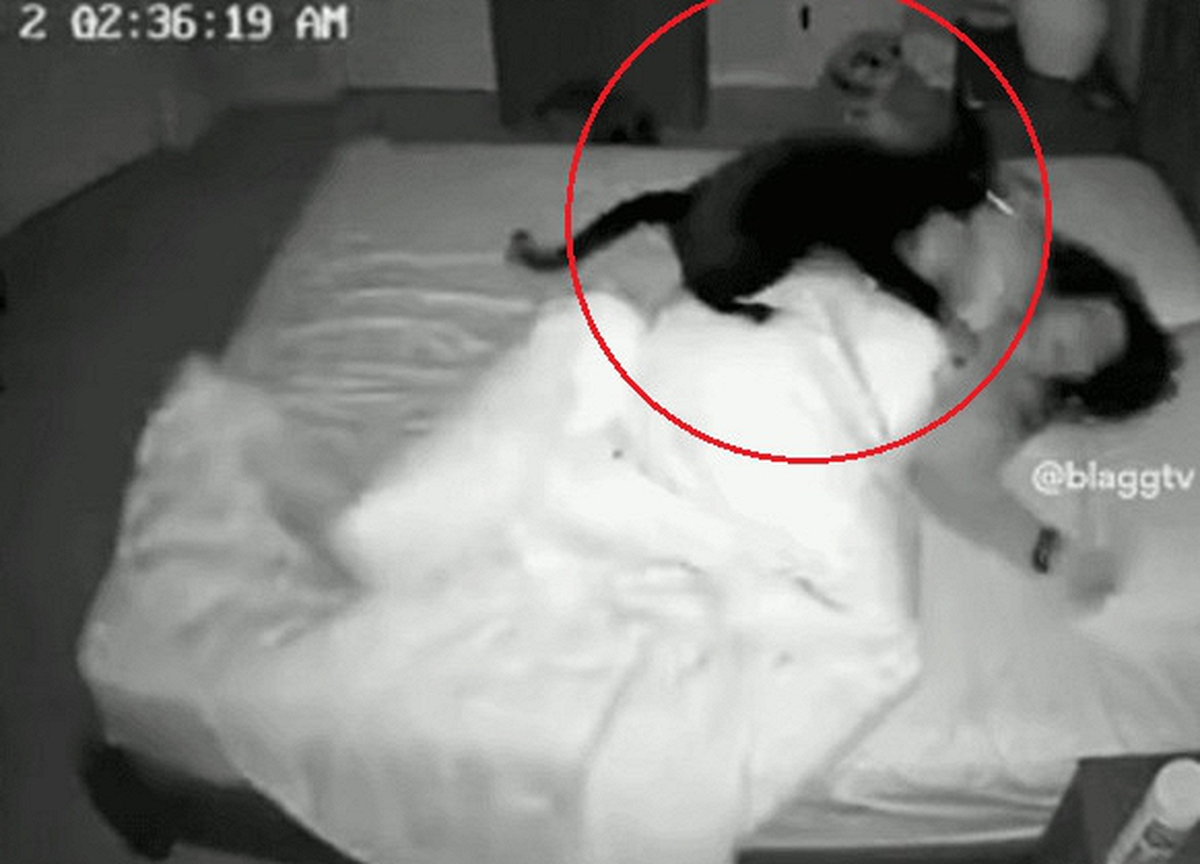 Người phụ nữ ngày nào cũng đi ngủ sớm nhưng sáng dậy vẫn thiếu ngủ, mệt mỏi trầm trọng, đoạn camera giám sát lúc 3 giờ sáng tiết lộ