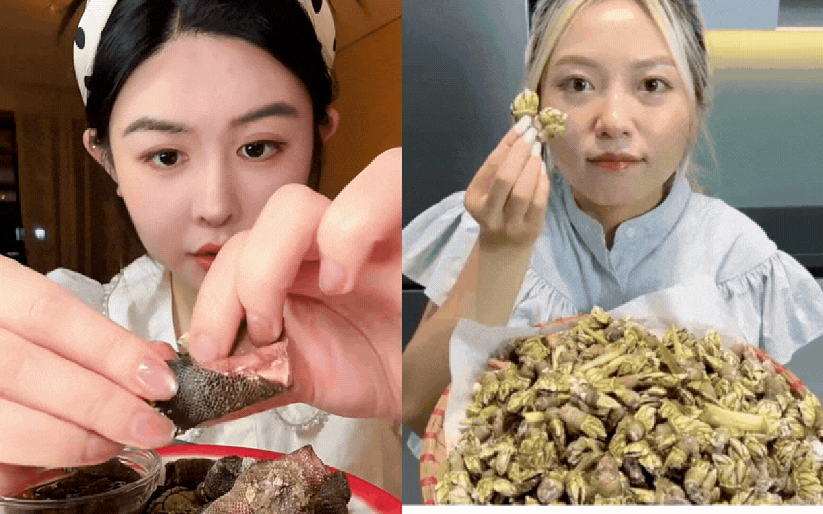 Hè đến rồi, loại ốc "ngón tay quỷ" này lại lên ngôi: Khó bắt - giá đắt, ở Việt Nam không phải vùng biển nào cũng có!