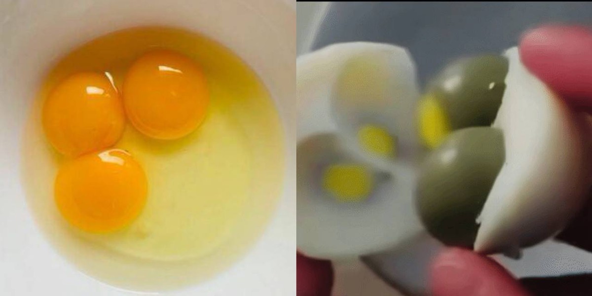 Người đàn ông đập trúng quả trứng 3 lòng đỏ hiếm nhất thế giới, xác suất khó hơn cả trúng Vietlott