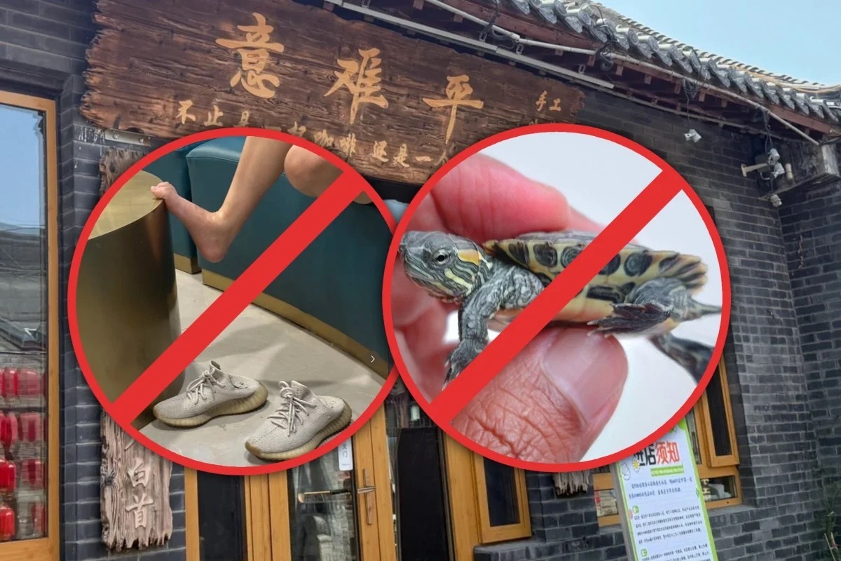 Quán cà phê càng nhiều quy định cấm, càng khiến thực khách thích thú