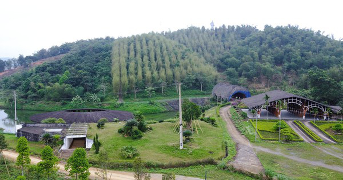 Thanh Hóa xin gỡ "nút thắt" cho công viên sinh thái tre luồng 300 tỉ đồng