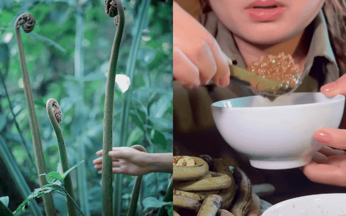 Thức quà mộc mạc chốn thâm sơn bỗng "gây bão" cõi mạng: "Dương xỉ cổ đại" kén người nhìn nhưng nếm thử là ghiền quên lối về!