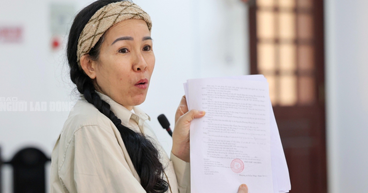 Bị cáo Đinh Lan sắp ra toà phúc thẩm vì loạt video xuyên tạc bà Nguyễn Phương Hằng