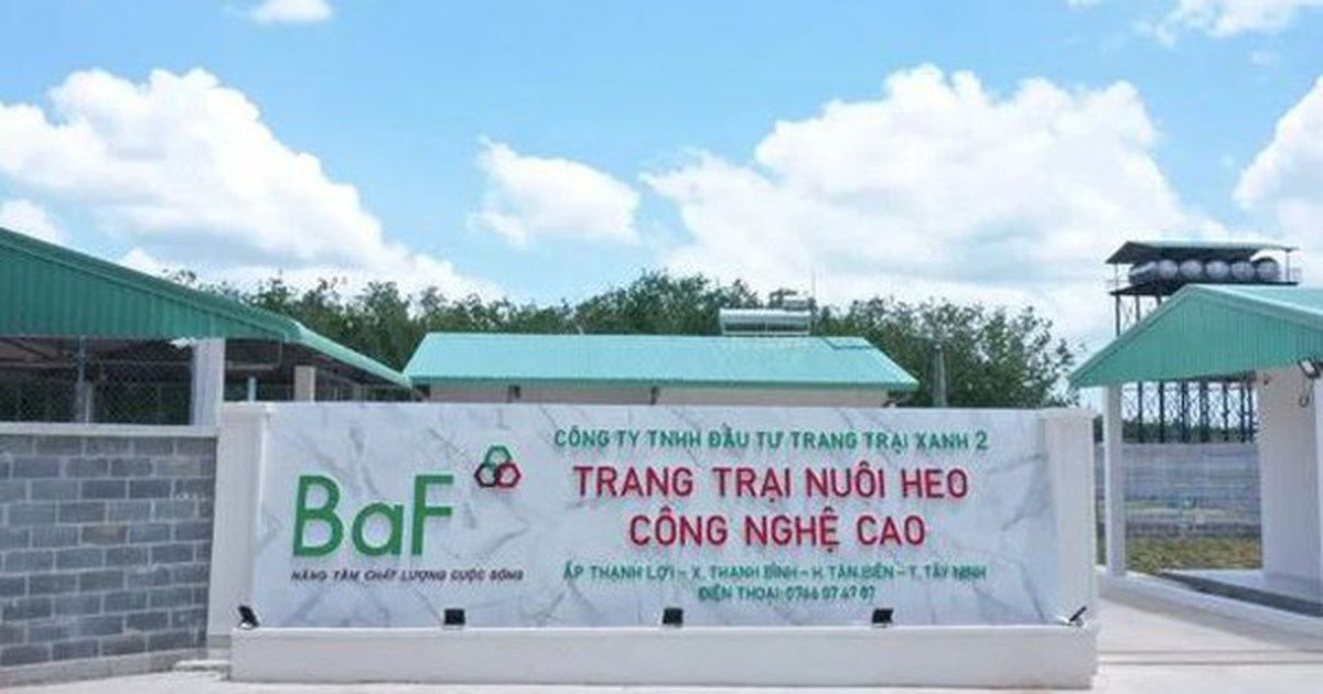 Nông nghiệp BAF hướng đến mức lợi nhuận kỷ lục, chia cổ tức và cổ phiếu thưởng tổng tỷ lệ 20%