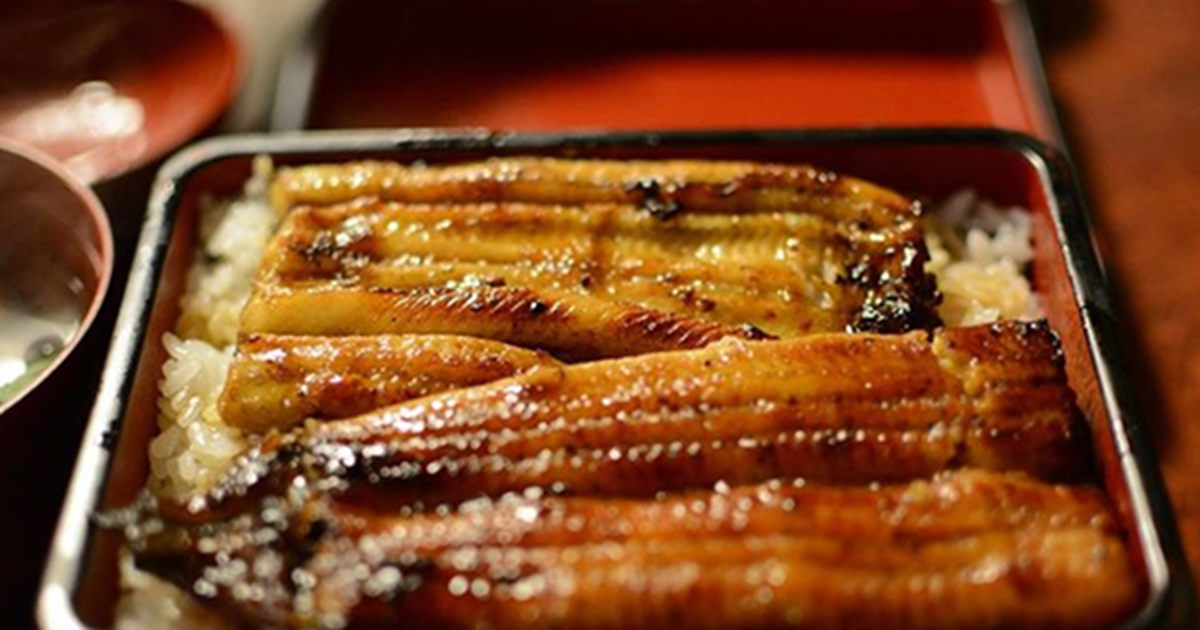 Không phải cá hồi hay cá thu, đây mới là loại cá quen thuộc giúp ngừa sa sút trí tuệ, bảo vệ tim mạch: Ăn 1 miếng bổ ngang 2 viên dầu cá