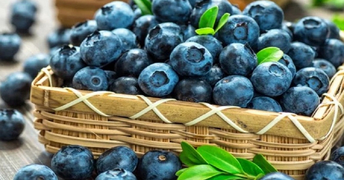 Mùa việt quất tươi đầy chợ, đừng chỉ ham quả to nhất: Người nông dân giàu kinh nghiệm cho biết "chỉ cần nhớ 4 điểm này!"