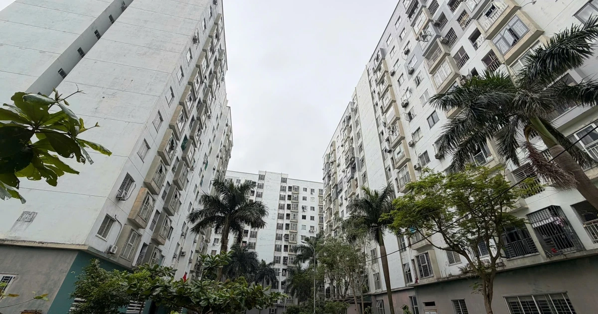 Thêm dự án nhà ở xã hội hơn 2.000 tỷ đồng ở trung tâm Đà Nẵng