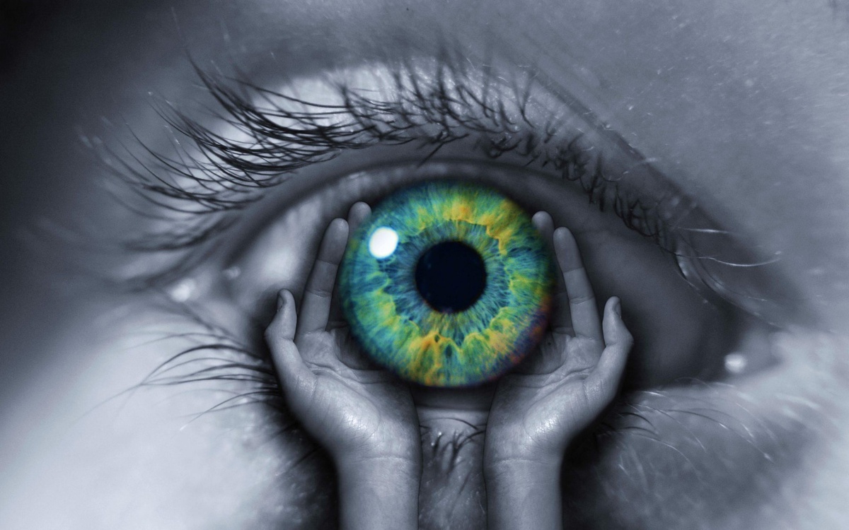 Ghép giác mạc lợn cho người, công ty Việt Nam sở hữu công nghệ cứu 500.000 người mù do bệnh lý