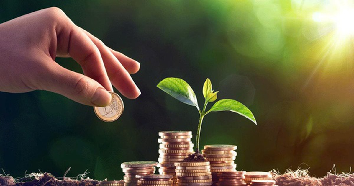 Điểm lại các doanh nghiệp lên kế hoạch trả cổ tức trên 100% mùa ĐHĐCĐ năm 2026