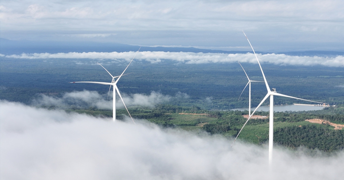 Từ công trường ‘3 không’ đến dòng điện vượt biên giới: Cách Bầu Hiển làm nên kỳ tích Savan 1 trong 16 tháng