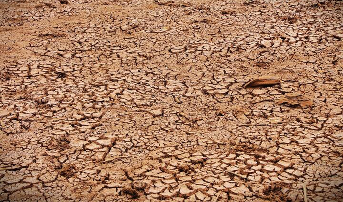 Khả năng xuất hiện El Nino rất mạnh, kéo sang 2027, nguy cơ thiếu hụt nguồn nước từ đầu mùa