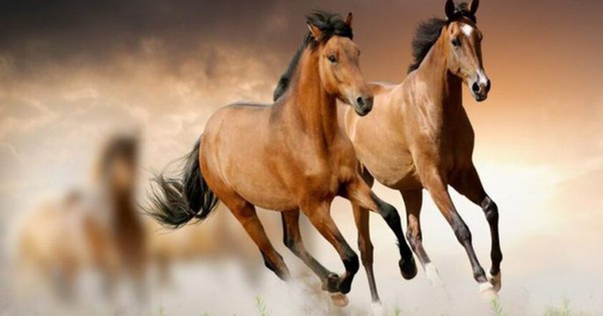 Chuyên gia dự báo: Từ giữa tháng 4/2026, 4 tuổi này có tín hiệu tài lộc khởi sắc, cơ hội tăng thu nhập rõ rệt