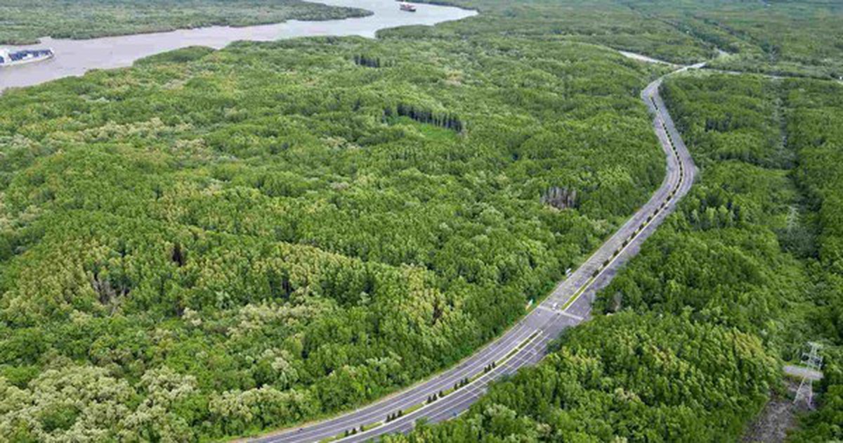 TPHCM đề xuất rót 19.000 nghìn tỷ nghiên cứu mở rộng đường Rừng Sác lên 10 làn xe