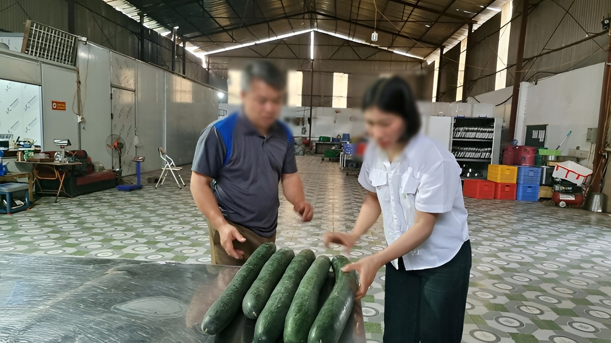 Tiết lộ khoản "hoa hồng" cho hiệu trưởng để tuồn thịt lợn bệnh vào trường học